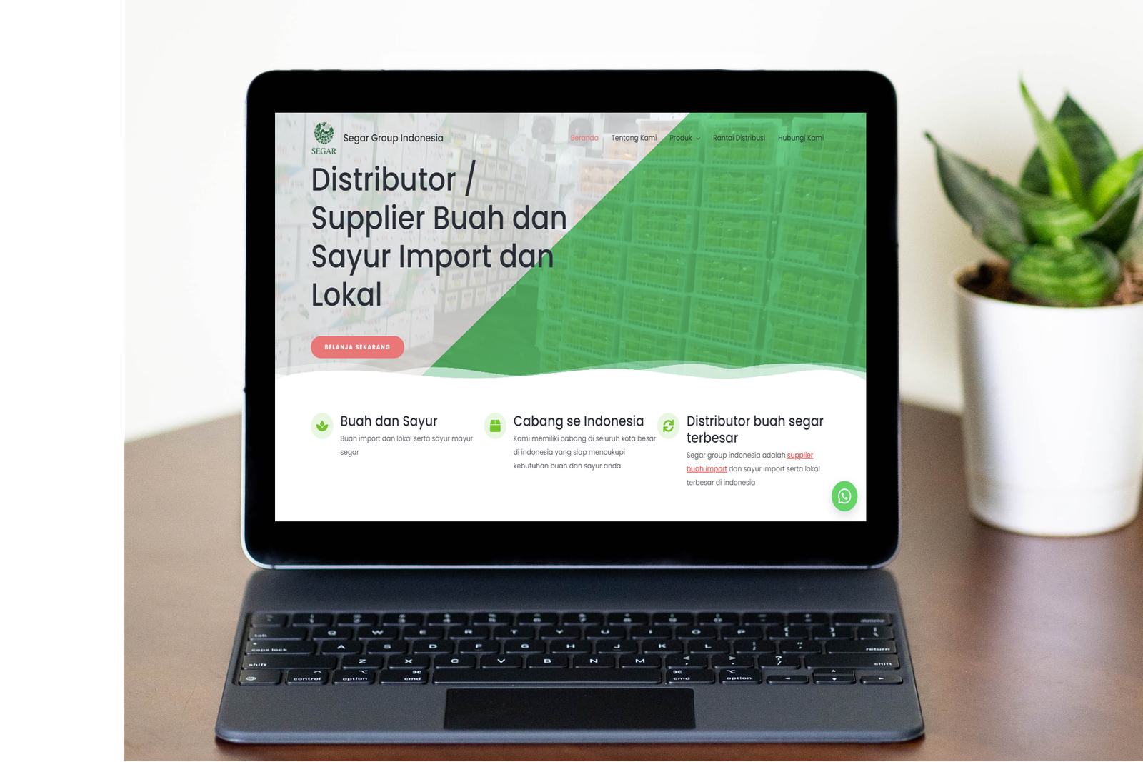Segar Group Indonesia website design