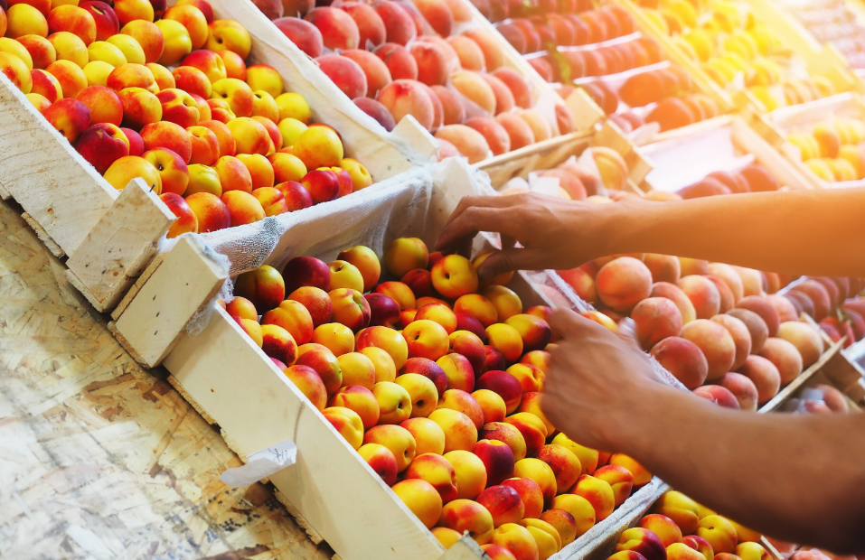 Bagaimana Supplier Buah Menjaga Kualitas Buah Impor Tetap Segar?